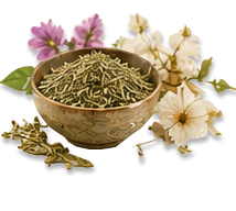 دمنوش گیاهی
